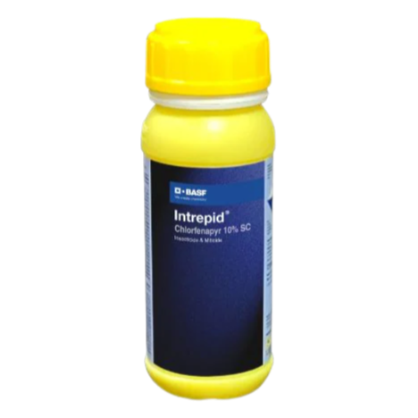 BASF Intrepid