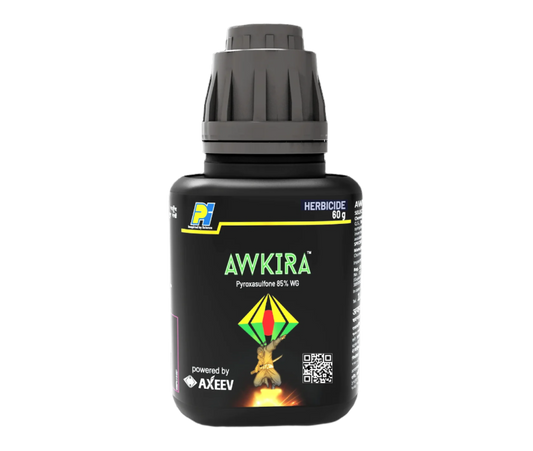 PI Awkira