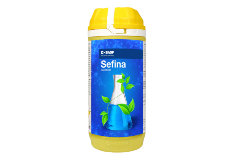 BASF Sefina