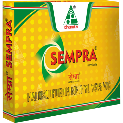 Dhanuka Sempra