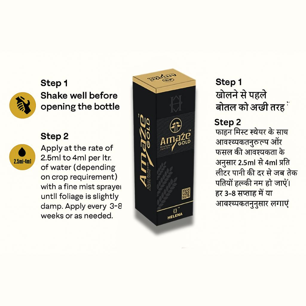 अमेज गोल्ड