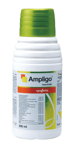 Syngenta Ampligo