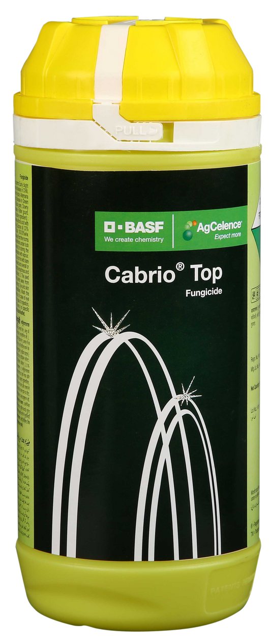 BASF Cabrio Top