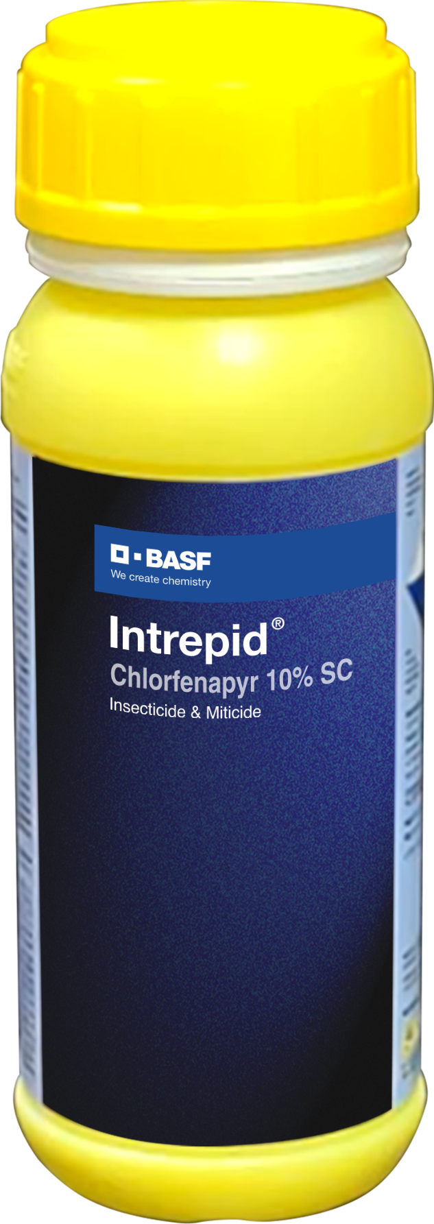 BASF Intrepid