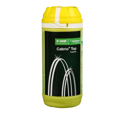 BASF Cabrio Top