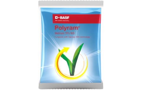 BASF Polyram