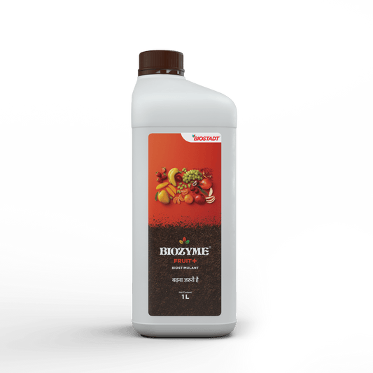 Biostadt Biozyme Fruit+