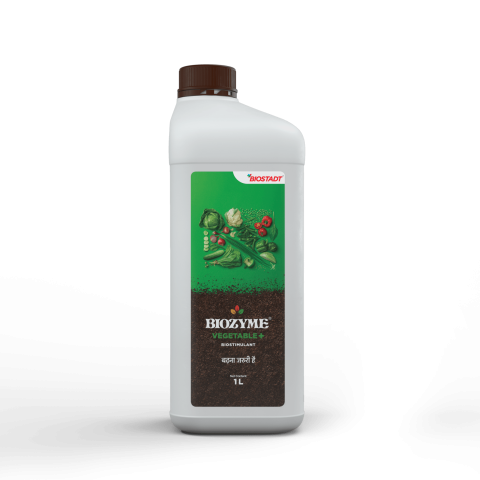 Biostadt Biozyme Vegetable+