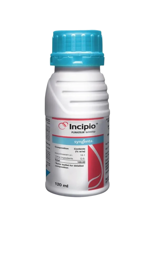 Incipio Insecticide