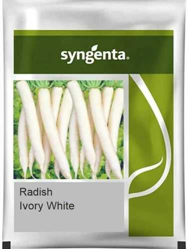 Ivory White Radish Seed