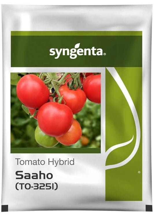 Saaho Tomato Seeds