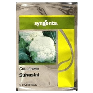 Suhasini Cauliflower Seed