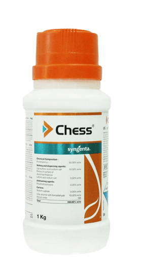 Syngenta Chess